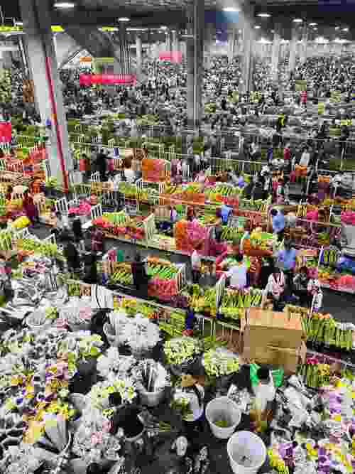 昆明斗南花卉