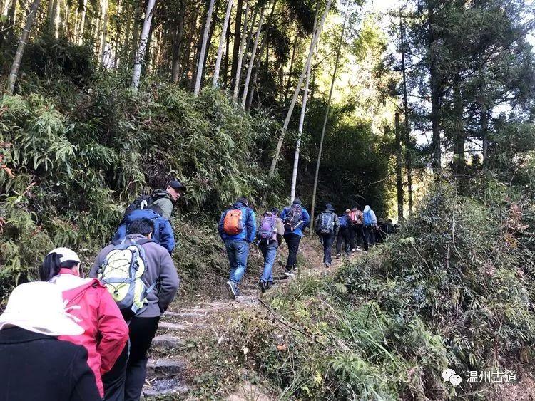 探索自然美景的轻松之旅，我意逍遥最新章节