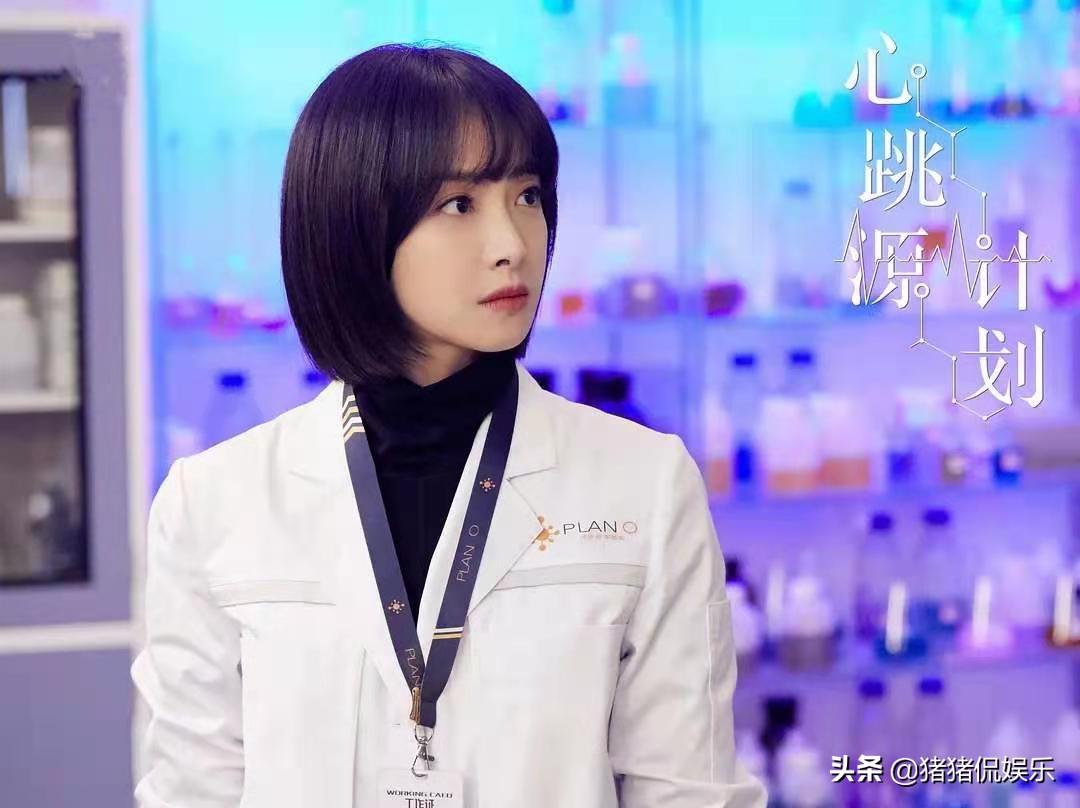 保北医药最新招聘，启程寻找内心平静的医药人才之旅