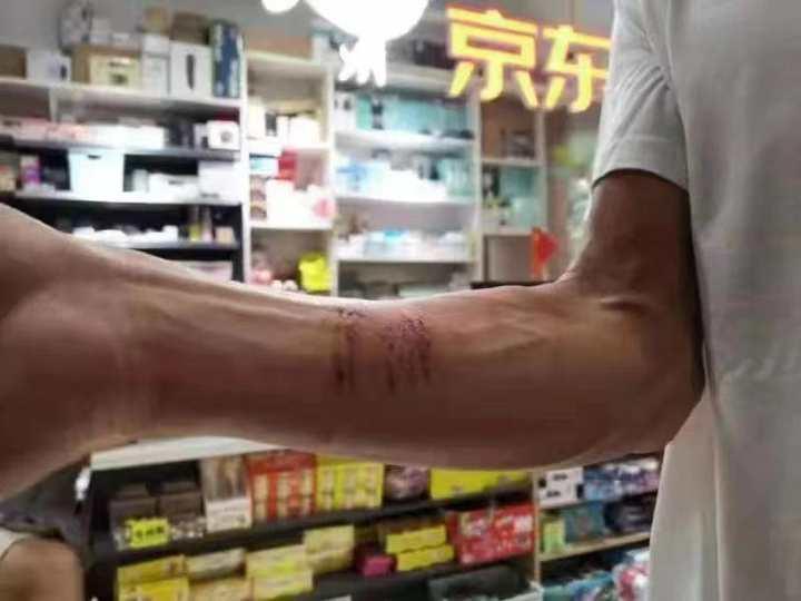 杭州夫妻工最新招聘，探寻小巷独特小店中的职场伴侣