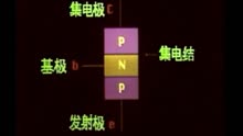 深度分析与个人视角