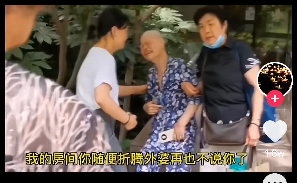 最新信息查询步骤指南