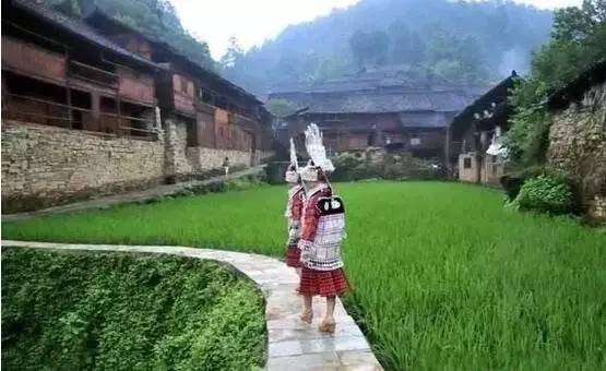 新乡市房价最新信息与自然美景的邂逅，寻找平和之地的旅程