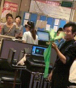 小巷中的隐藏宝藏（或探秘）