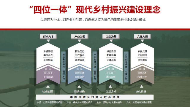 站狼票房最新消息深度分析与观点阐述
