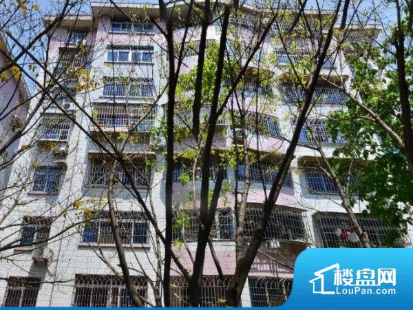 宝藏房源汇总