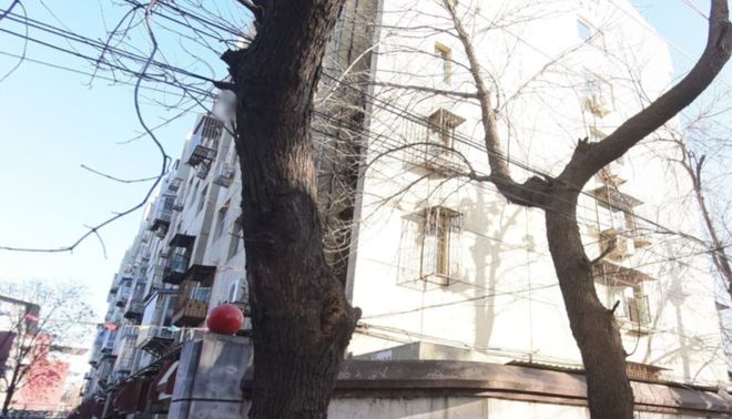 安乐林路改造最新进展，巷弄深处的特色小店展现独特魅力