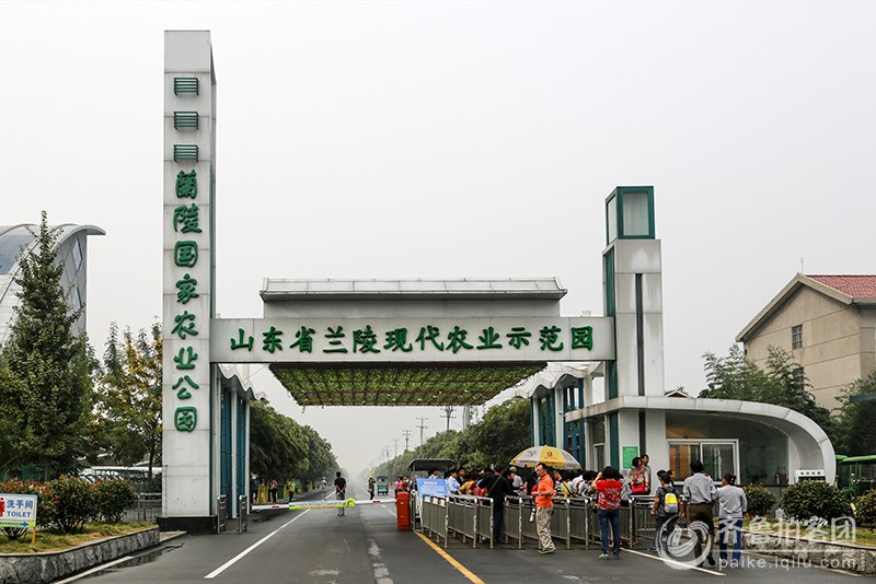 兰陵苍山最新招聘信息概览，岗位更新与求职概述