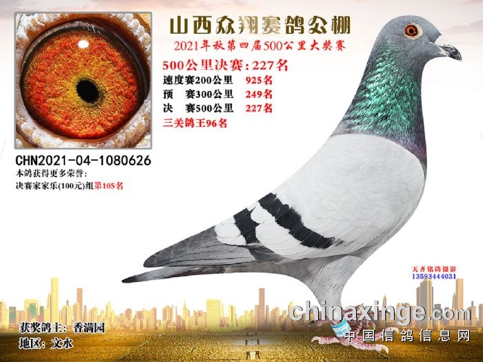 榆次帝王公棚最新公告发布，重磅消息📢🎉