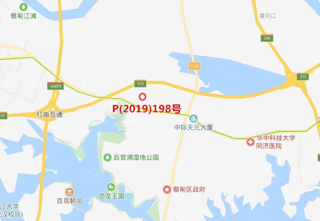 蔡甸中核锦城最新动态，城市发展的前沿与活力持续激发