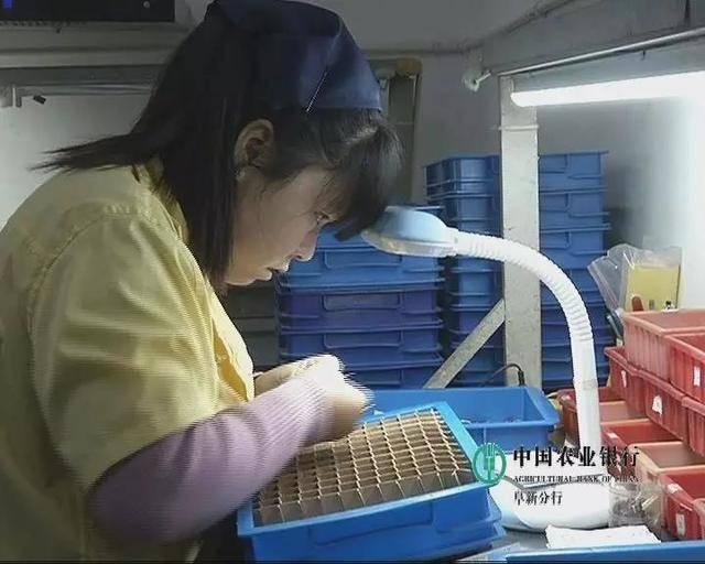 阜新最新招工信息