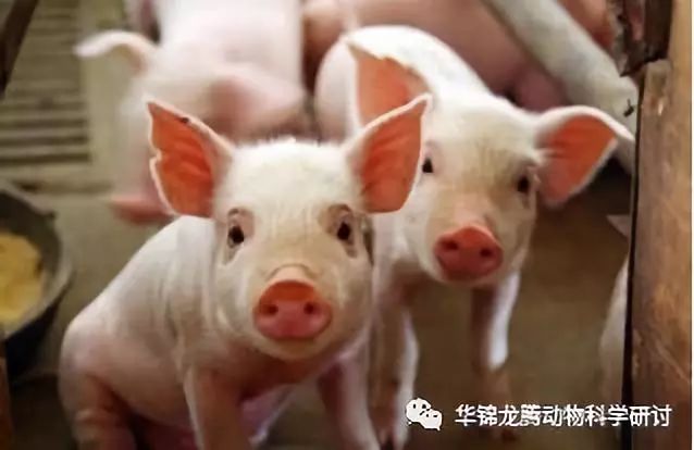 行业变革与未来发展展望