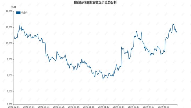 行情动态与价格变化展望
