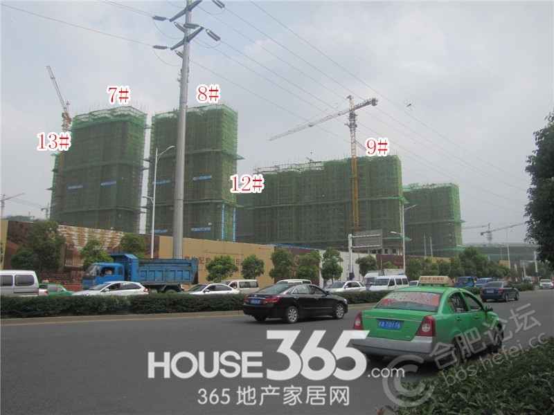 家的温馨与友情的陪伴日常