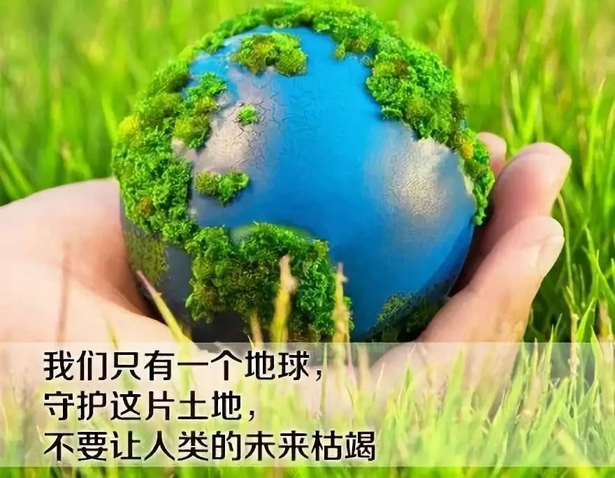 肥东停电最新消息