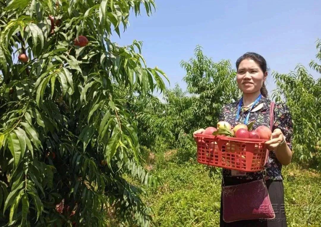 安全游戏避免非法行为