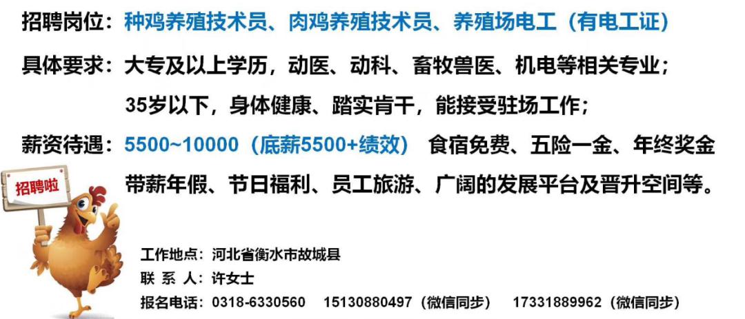 广东猪场