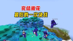 日常小趣事与友情纽带揭秘