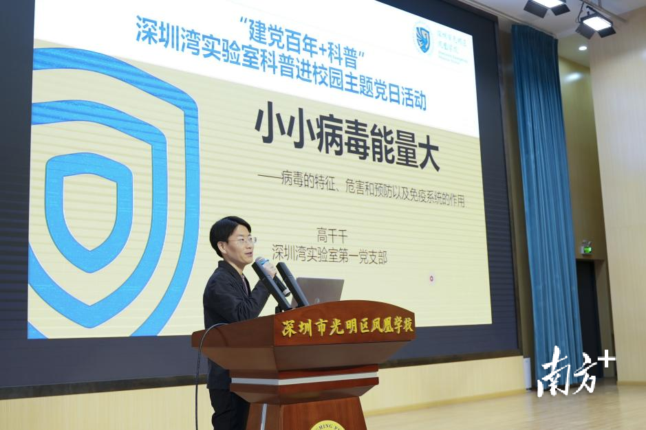 深圳湾学校最新动态