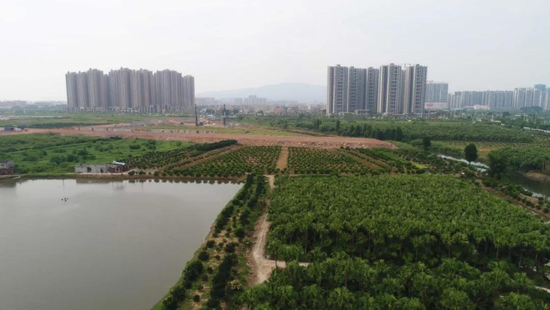中梁V城市最新报价大全/指南
