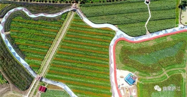 庐江最新土地补偿标准