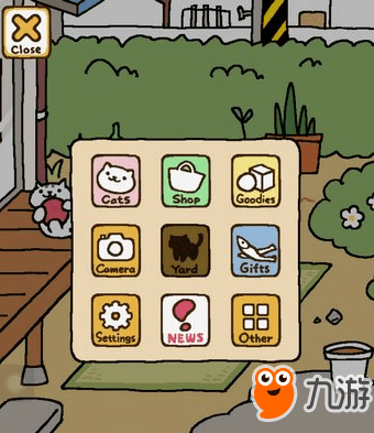 神秘猫店