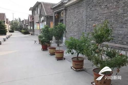 新泰新汶招聘