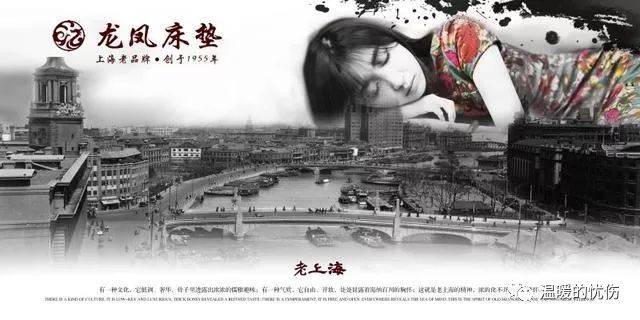 上海龙凤最新地址及其温馨日常体验
