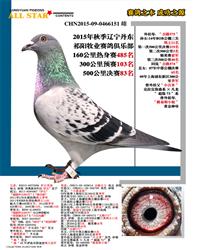 榆次帝王公棚最新公告，小巷深处的独特风味揭秘
