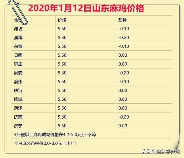 山东麻鸡最新价格，时代印记与市场的脉动