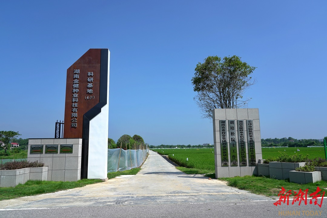 长沙县路口镇
