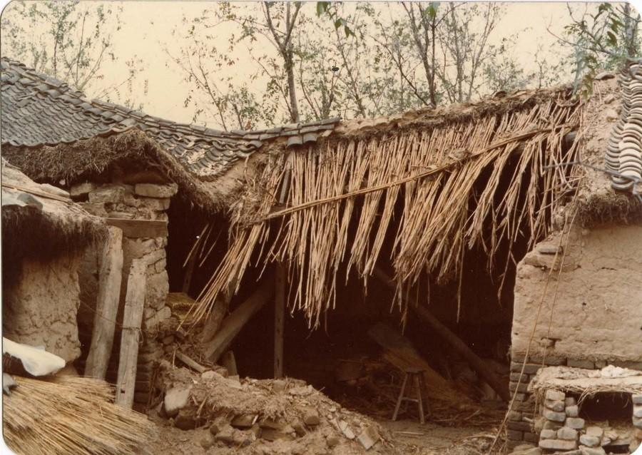 济宁地震最新消息