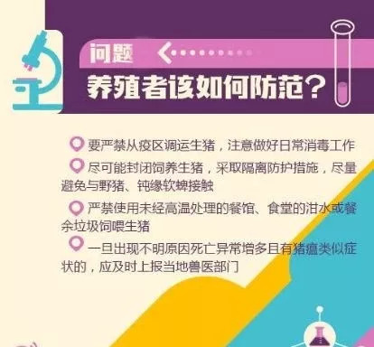 北海资本运作最新动态及其观点论述