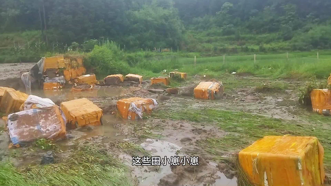 自然美景中的养殖之旅