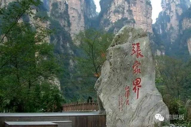 张家界最新干部任免