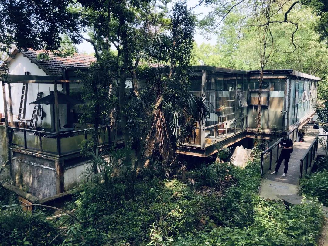 ST新亿最新公告揭秘，小巷深处的独特风味特色小店探索之旅！