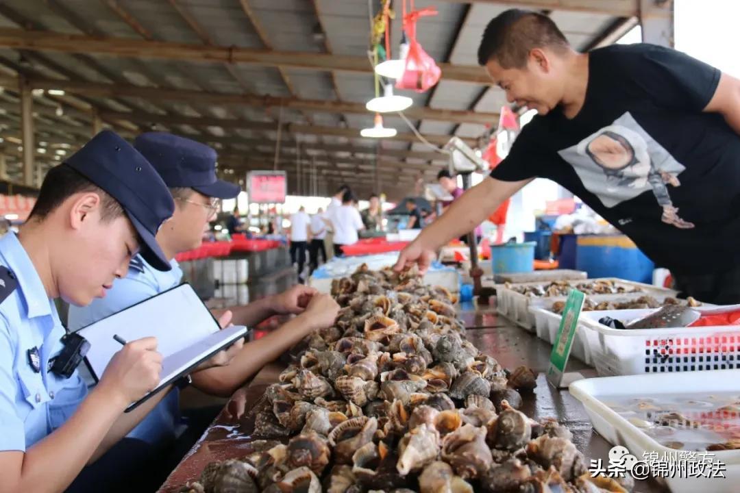 锦州人才市场最新招聘