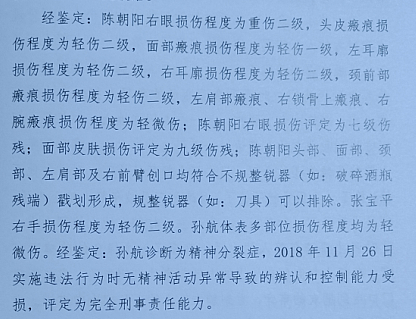 眼睛轻伤鉴定标准