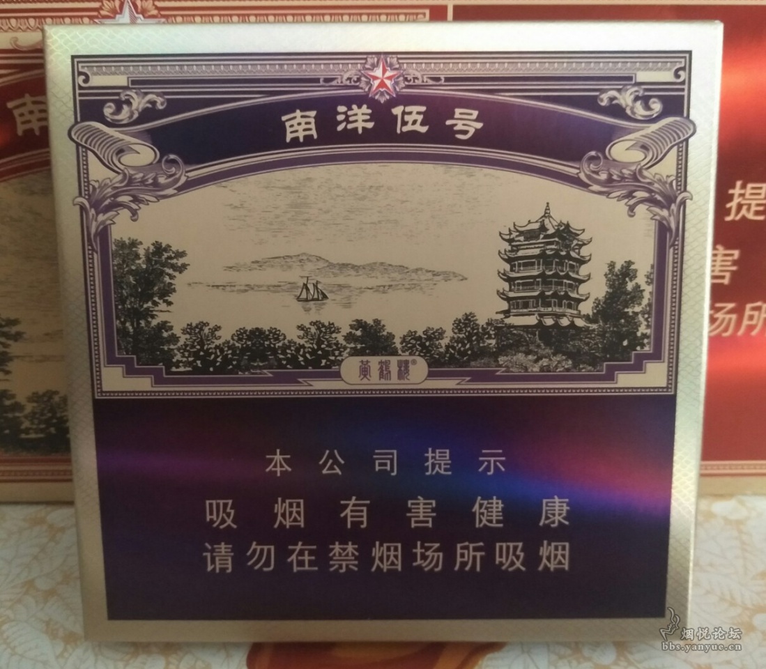 南洋5最新消息详解，步骤指南与动态更新
