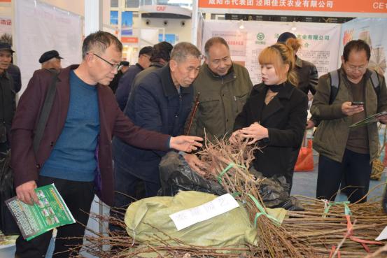 陕西兴平工厂招工