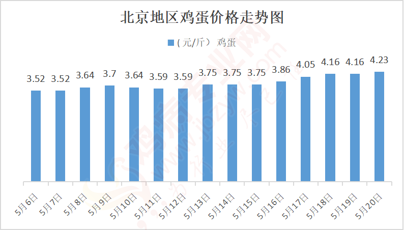最新鸡蛋价格动态
