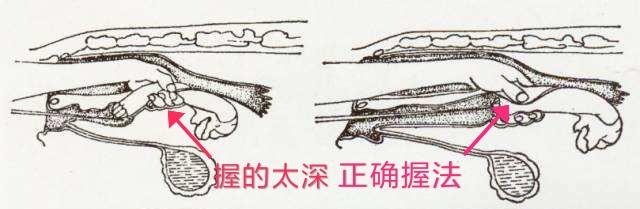 获取攻略