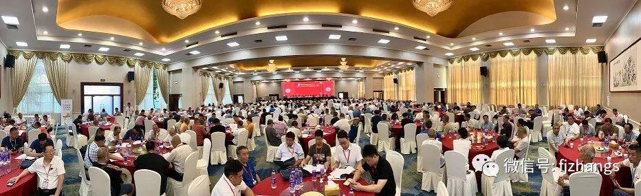 友情与陪伴的温馨夜晚——最新电影推荐