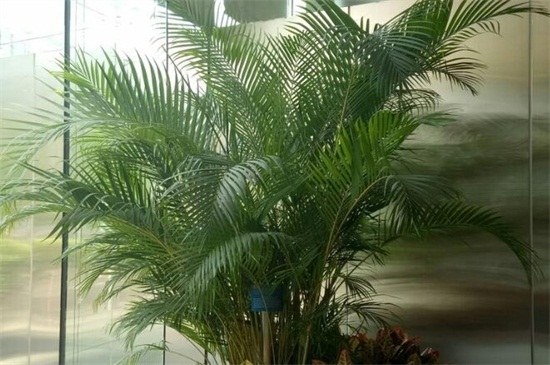 温馨回忆