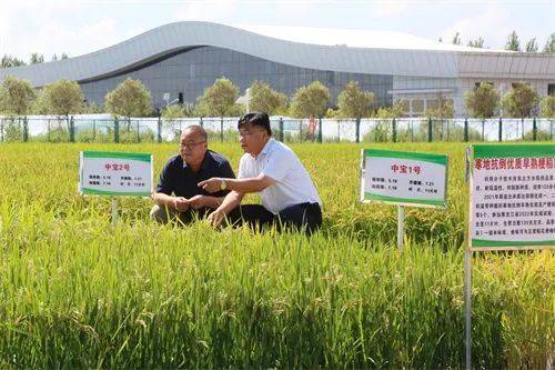 最新谷子科技产品介绍及特点概述
