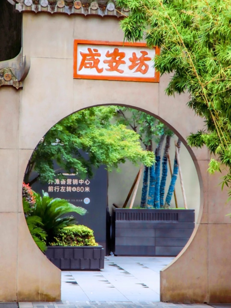 解锁自然美景之旅，最新拱门旅行之门探秘