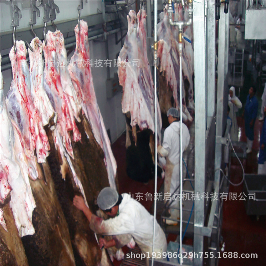 最新宰牛科技产品介绍与特点概述