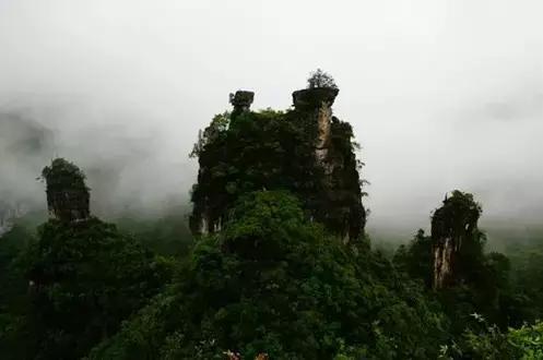 自然美景的心灵抚慰之旅