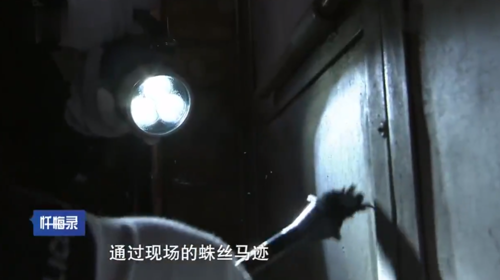 琴酒最新革新科技重塑生活体验
