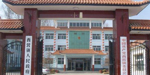 西营镇最新发展论述概览